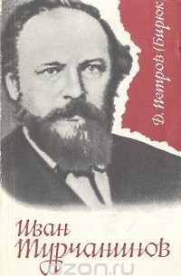 Дмитрий Петров - Иван Турчанинов. Исторический роман