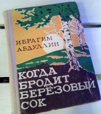 Ибрагим Абдуллин - Когда бродит березовый сок