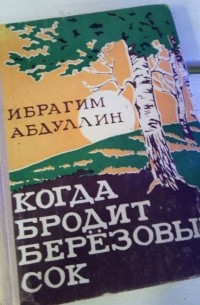 Ибрагим Абдуллин - Когда бродит березовый сок