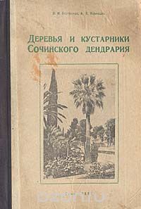  - Деревья и кустарники Сочинского дендрария