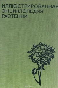 Ф. Новак - Иллюстрированная энциклопедия растений
