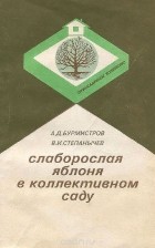  - Слаборослая яблоня в коллективном саду