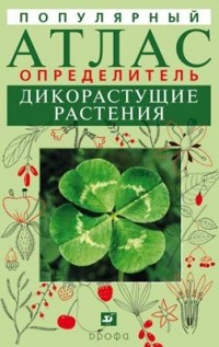  - Популярный атлас-определитель. Дикорастущие растения