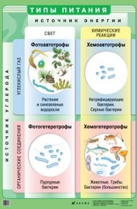 Типы питания. Таблица — И. Ю. Чернов
