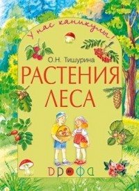 О. Н. Тишурина - Растения леса. Рабочая тетрадь