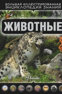 Дмитрий Кошевар - Животные