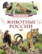 без автора - Животные России