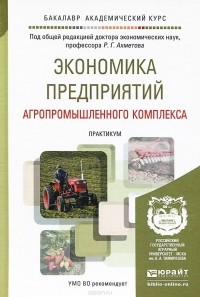Равиль Ахметов - Экономика предприятий агропромышленного комплекса. Практикум. Учебное пособие