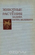  - Животные и растения залива Петра Великого