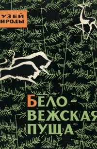  - Беловежская пуща. Музей природы