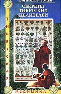 Виктор Востоков - Секреты тибетских целителей