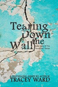 Трейси Уорд - Tearing Down the Wall