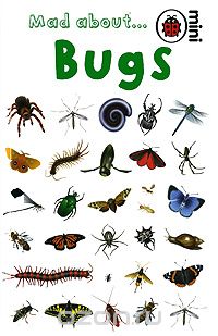 Deborah Murrell - Mad about... Bugs
