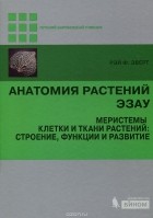 Рэй Эверт - Анатомия растений Эзау. Меристемы, клетки и ткани растений. Строение, функции и развитие