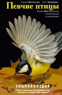 Певчие птицы: энциклопедия