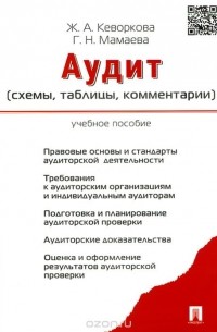  - Аудит (схемы, таблицы, комментарии). Учебное пособие
