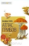 Джеффри Кибби - Атлас-определитель грибов