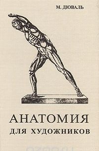 Анатомия для художников