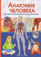 Винченцо Гуиди - Анатомия человека. Детская иллюстрированная энциклопедия