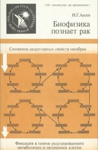 Биофизика познает рак