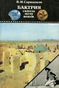 Бактрия сквозь мглу веков