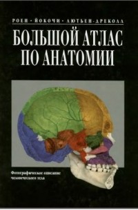  - Большой атлас по анатомии