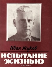Иван Жуков - Испытание жизнью (сборник)