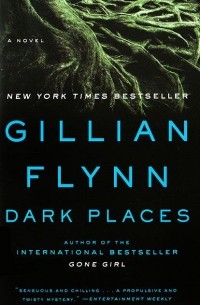 Gillian Flynn - Dark Places