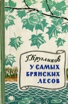 Григорий Кругликов - У самых брянских лесов