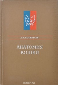 Александр Ноздрачев - Анатомия кошки