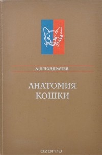 Александр Ноздрачев - Анатомия кошки