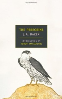 J.A. Baker - The Peregrine