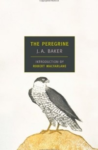 J.A. Baker - The Peregrine