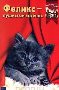 Феликс - пушистый котенок