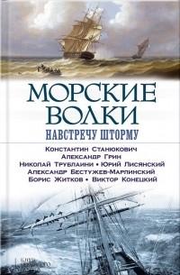 Морские волки. Навстречу шторму