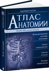 Адольфо Кассан - Атлас анатомии