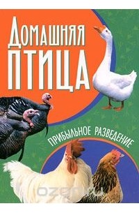 Книга Как обустроить мансарду своими руками, страница 23. Автор книги Кирилл Балашов