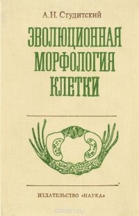 Александр Студитский - Эволюционная морфология клетки