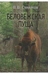 Беловежская пуща