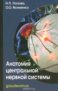  - Анатомия центральной нервной системы