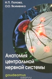  - Анатомия центральной нервной системы
