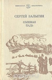 Соленая падь