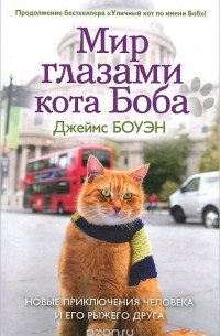 Джеймс Боуэн - Мир глазами кота Боба