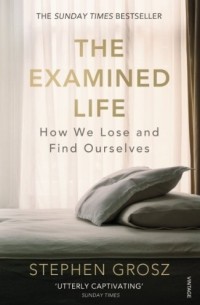 Стивен Гросс - The Examined Life: How We Lose and Find Ourselves