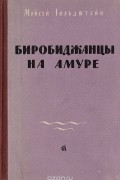 Биробиджанцы на Амуре