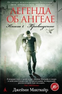 Легенда об ангеле. Книга 1. Провидение 