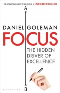 Daniel Goleman - Focus: The Hidden Driver of Excellence