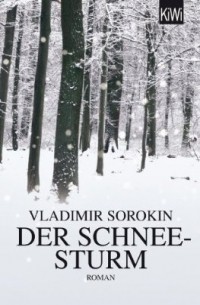 Vladimir Sorokin - Der Schneesturm