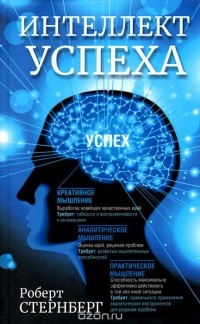Роберт Стенберг - Интеллект успеха