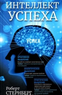 Роберт Стенберг - Интеллект успеха